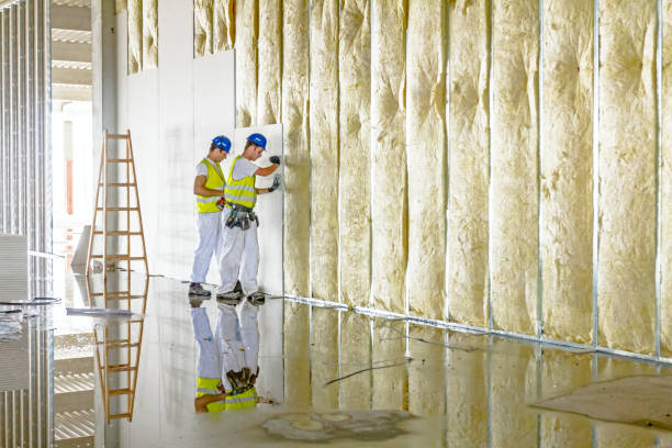 Best Cellulose Insulation in Granite City, IL